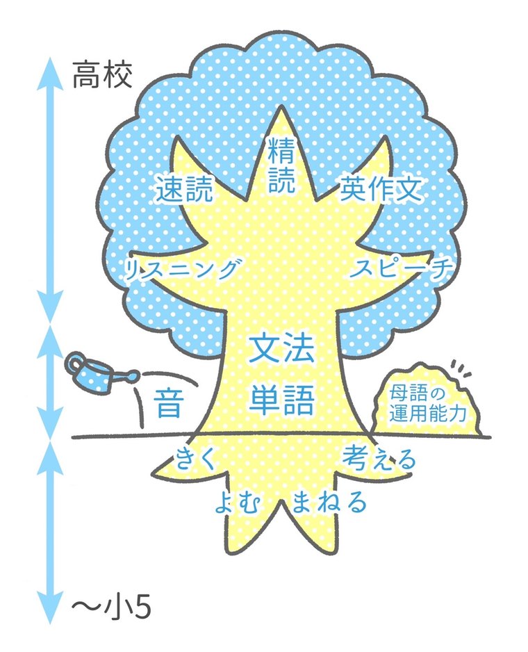 木の図。根に「きく・よむ・まねる・考える」、幹に「文法・単語」、枝葉に「速読・精読・英作文・リスニング・スピーチ」。じょうろの水は「音」、土は「母語の運用能力」。左の矢印は「〜小5」から「高校」まで