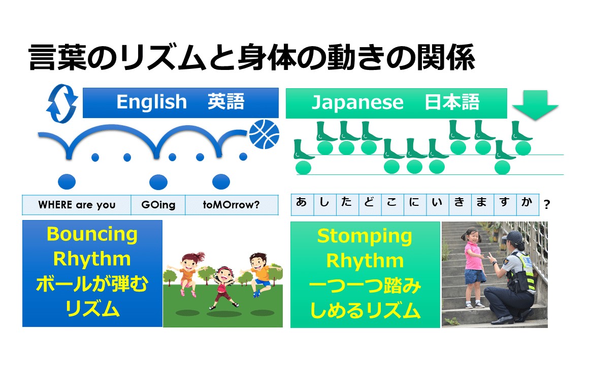 言葉のリズムと身体の動きの関係を、英語と日本語で比べた図